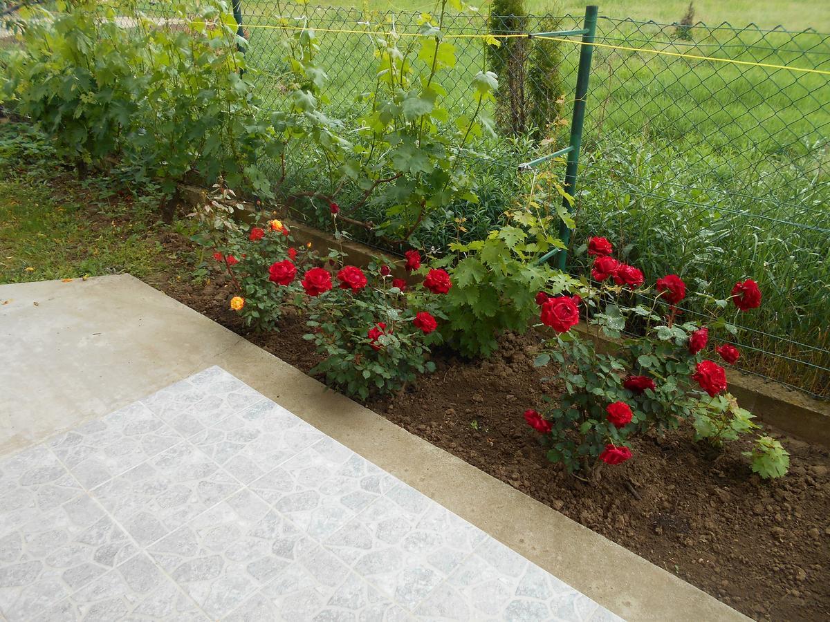 Airport Apartment T&T Surčin Екстериор снимка